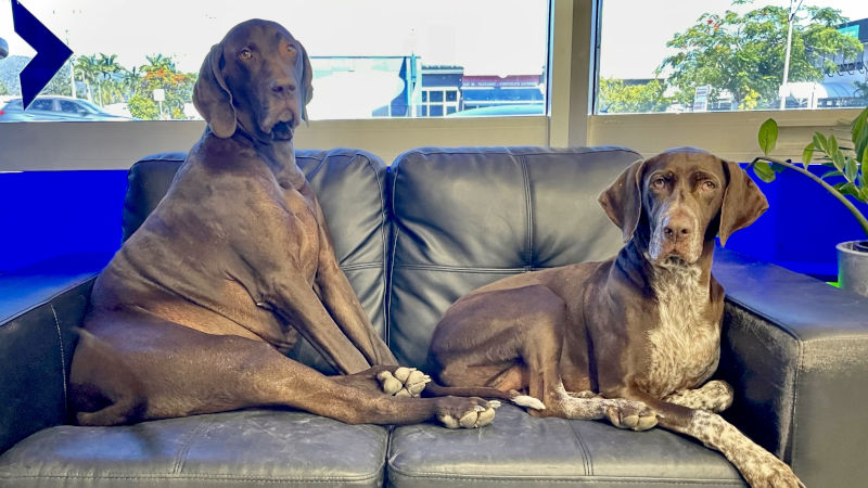 Barney and Andie